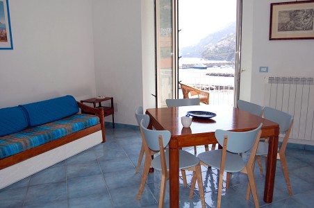 Living / Dining Area