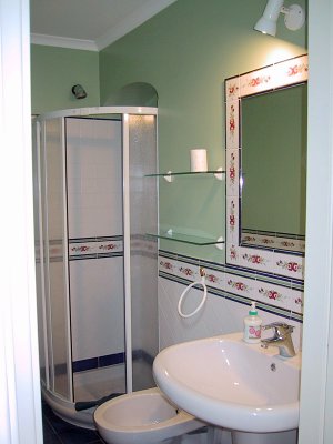 Bathroom with Shower