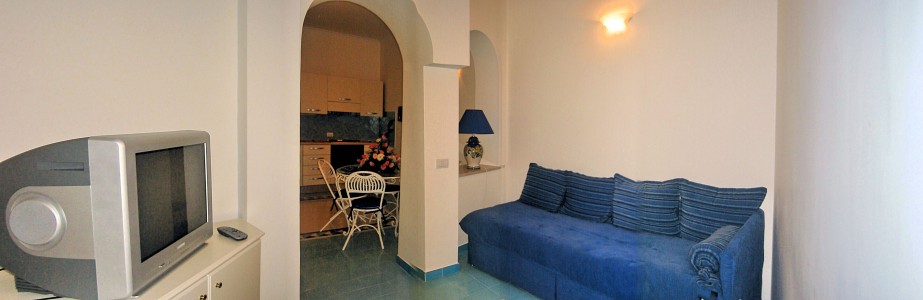 Living Area with TV