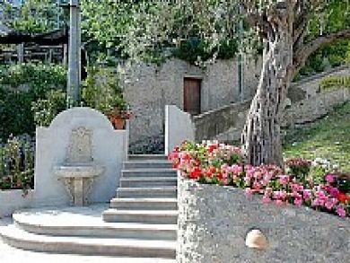 Steps to Property Steps to Property