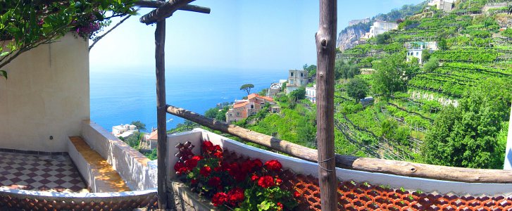 View from the Terrace