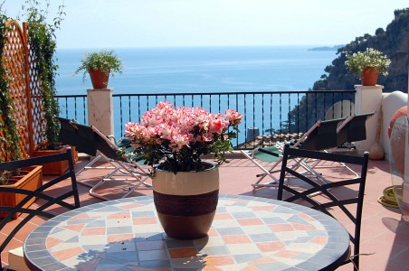 Terrace and Patio Area