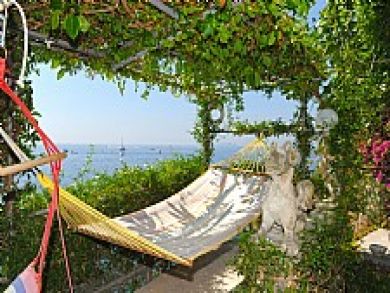 Relax in the Garden