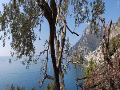 Positano Vacation Rental