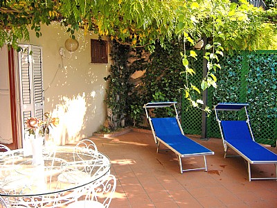 Sun Loungers