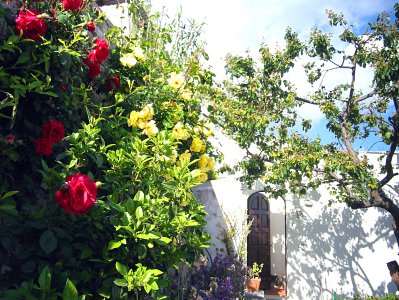 Praiano Italy Home 36553 Praiano Italy Home 36553