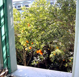 Sorrento Italy Condo 36579