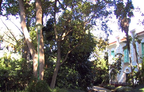Sorrento Italy Condo 36579