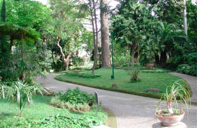 Sorrento Italy Condo 36579