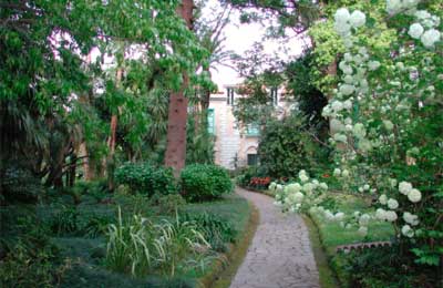 Sorrento Italy Condo 36579