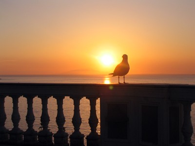 Sorrento Italy Condo 36579