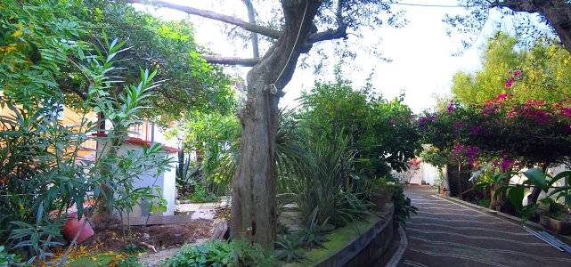Sorrento Italy Home 36599