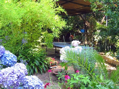Sorrento Italy Home 36601