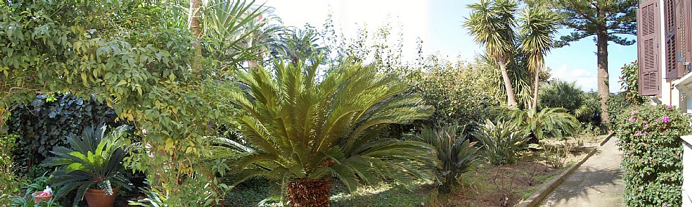 Sorrento Italy Condo 36612