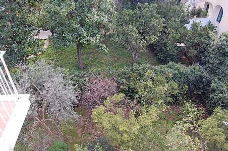 Sorrento Italy Condo 36612