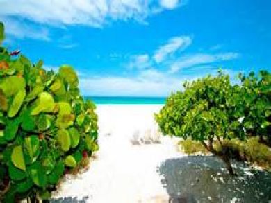 Million Dollar Views From This Elevated Rental Anna Maria Million Dollar Views From This Elevated Rental Anna Maria
