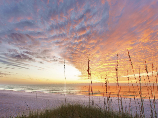 Anna Maria Island Vacation Rental - Beach House with Pool & Private Suite