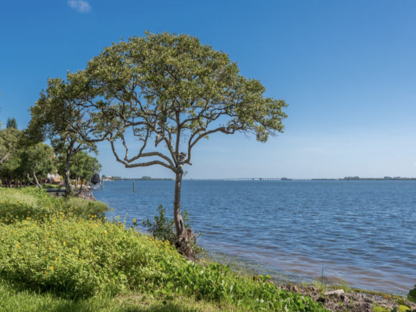 Bradenton Beach Vacation Condo Sleeps 4 Short Walk to Beach
