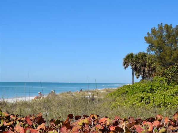 Anna Maria Rental on Beach - One Bedroom Condo Sleeps 4