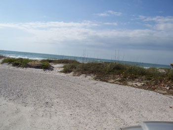 Beach Beach