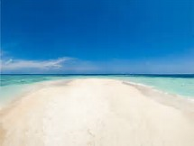Vacation Rental 4 bedrooms on Longboat Key fl