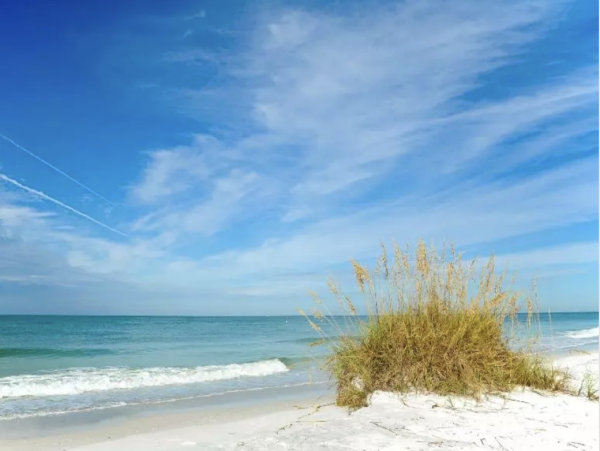 Longboat Key Vacation Condo One Bedroom