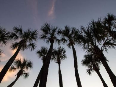 3 bedroom Anna Maria Rental  200 ft to the Beach!