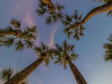 3 bedroom Anna Maria Rental  200 ft to the Beach!