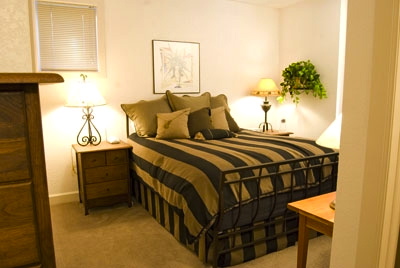 Master bedroom with queen bed