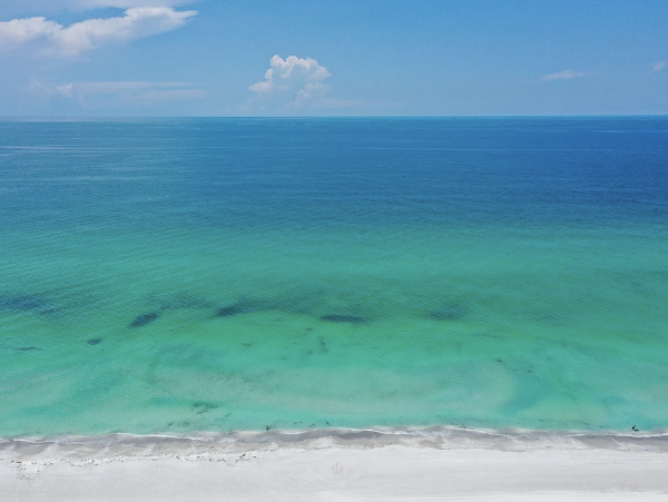 Longboat Key Vacation Rentals - Florida Luxury Beach Home with Private Pool