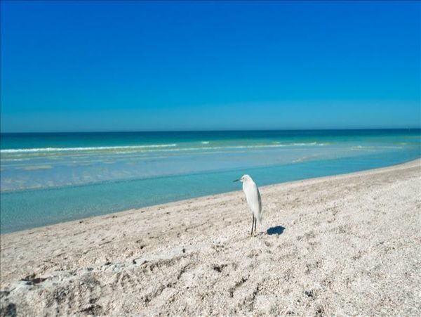 Anna Maria Island Gulf Front Vacation Rental 2 Bedroom