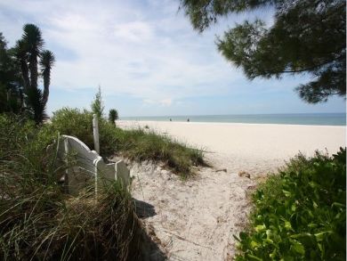 Directly Across From The Beach