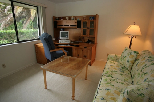 Den with sofa sleeper