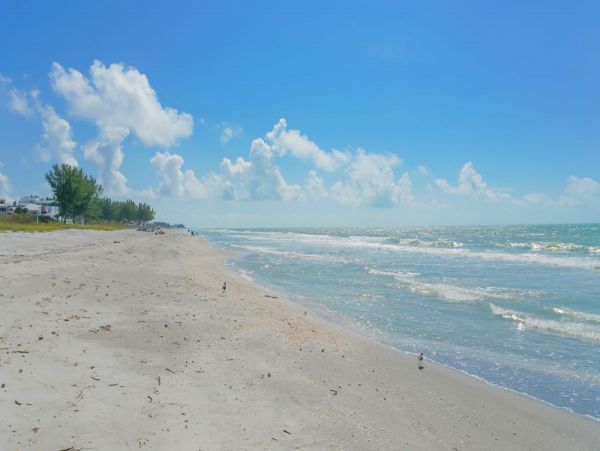 Longboat Key 2 Bedroom Beach Condo with Gulf Views