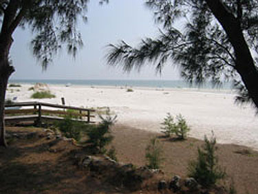 Beachfront cottage on Anna Maria 2 bedroom Beachfront cottage on Anna Maria 2 bedroom