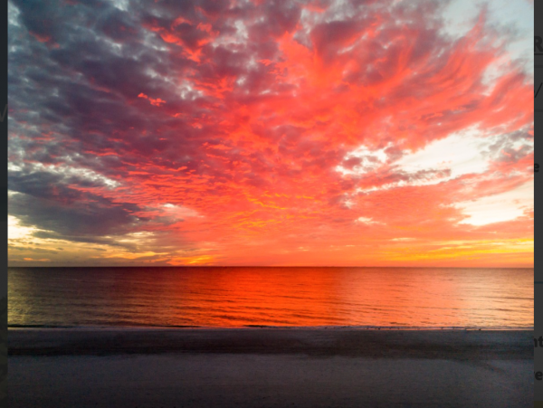 Anna Maria Beachfront Rental