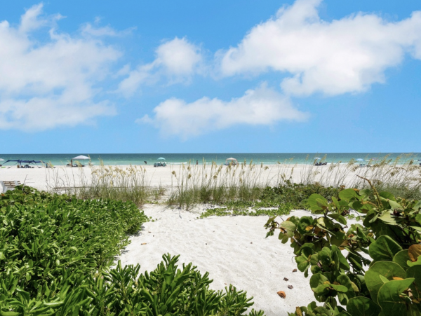 4 Bedroom Beachfront Luxury Vacation Villa Anna Maria Island