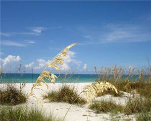 Sandy Beach