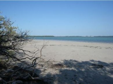 Longboat Key Condo 8042