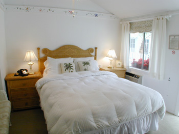 Open Plan Living with Queen Bed