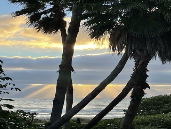 Anna Maria Island Holmes Beach Condo 8128