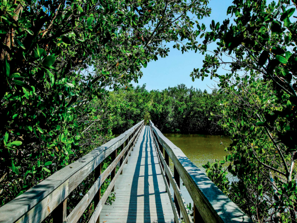 Sanibel Island Two Bedroom Vacation Rental Path to Beach.