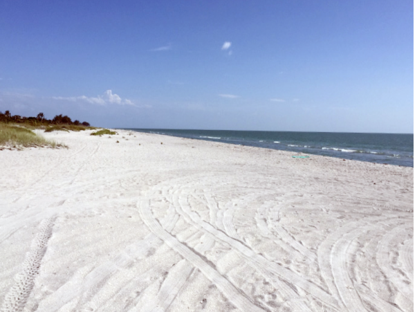 Five Bedroom Vacation House in Captiva