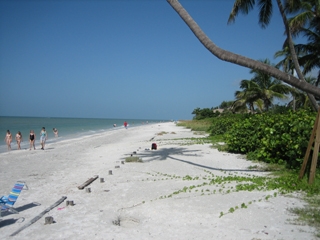 Sanibel Condo 8261