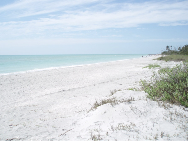 Sanibel 3 Bedroom Vacation Condo on Beach Sleeps 8 Guests Partial View Gulf NEW ARRIVAL