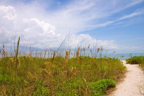 Sanibel Condo 8339