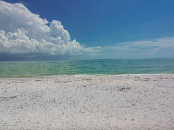 Sanibel Island 1 Bedroom Vacation Rental Sleeps 4 Gulf Views