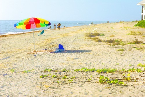 Sandy Beach Sandy Beach
