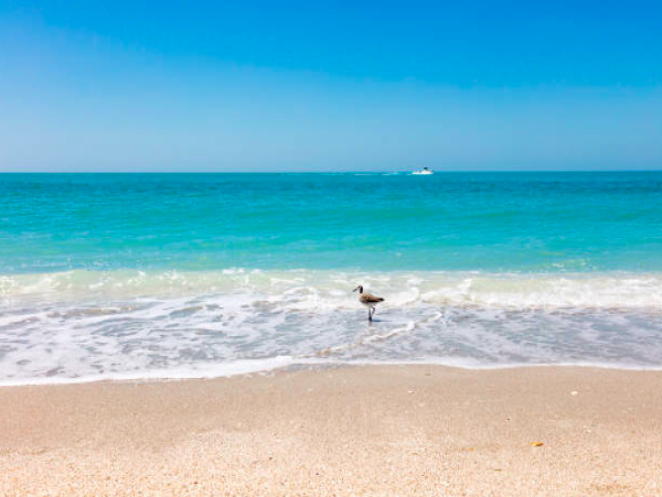 Gulf-Front Sanibel Island Retreat: Charming Condo with Stunning Views