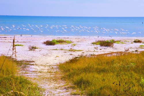 Sanibel Condo 8397 Sanibel Condo 8397
